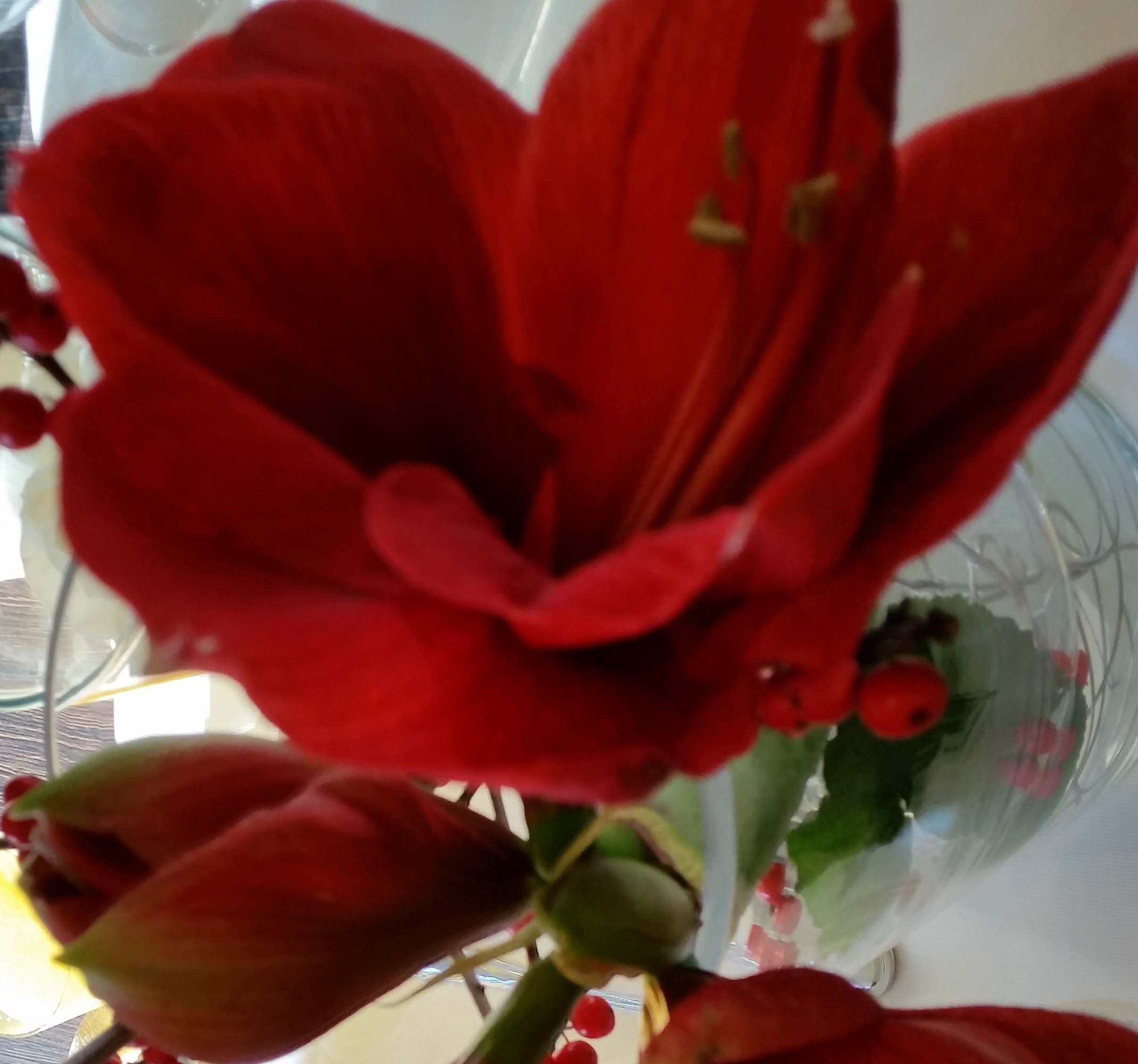 Advent