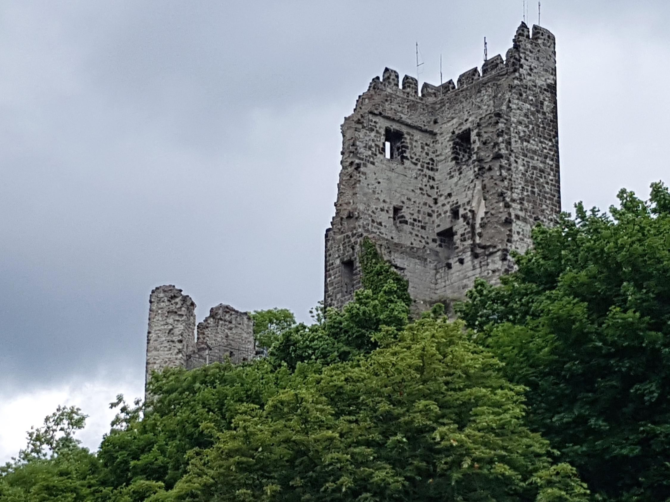 Rheinland - Studienreise