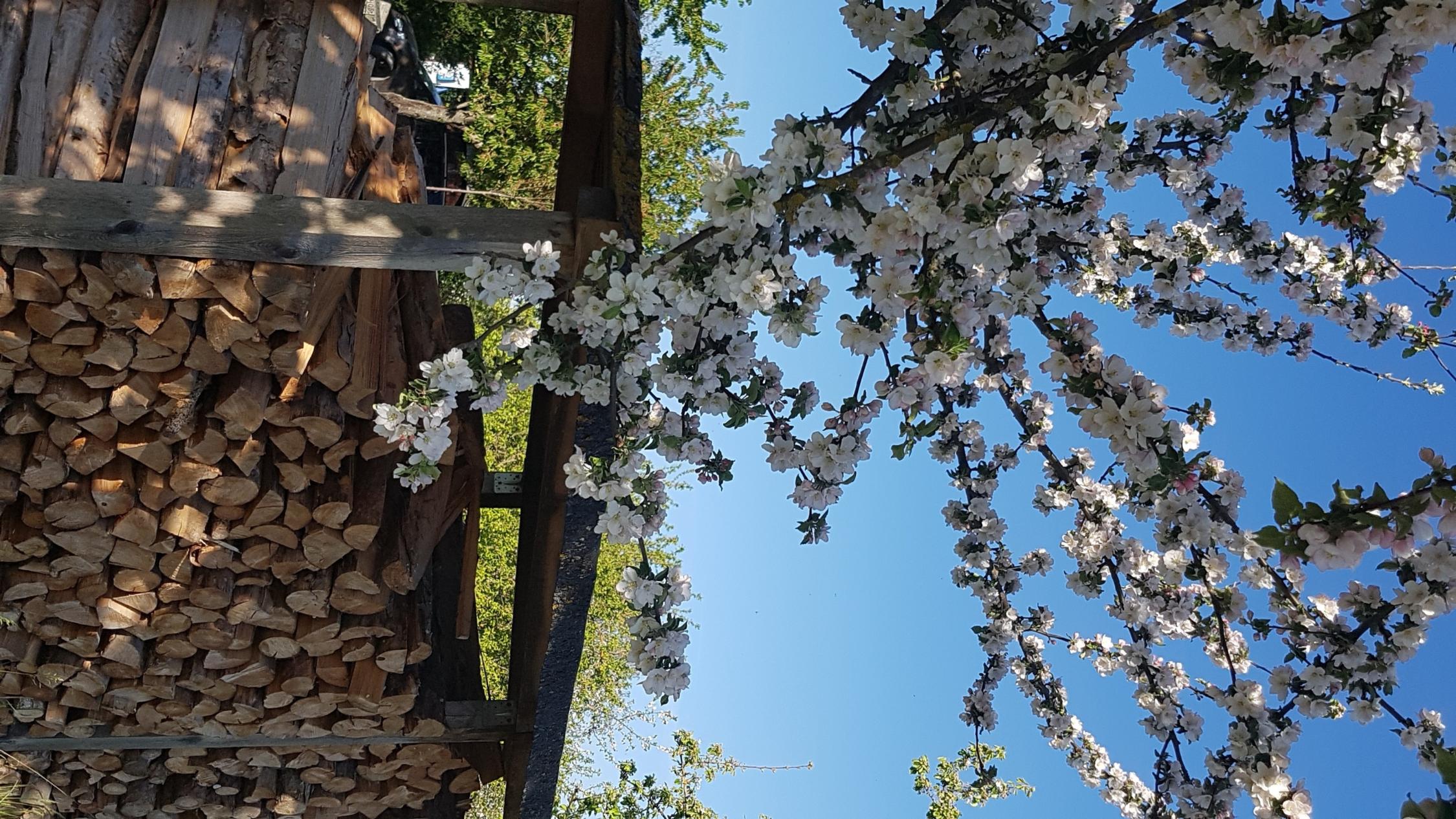 Frühling