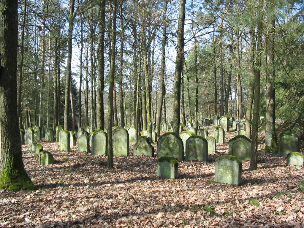 Jüdische Geschichte