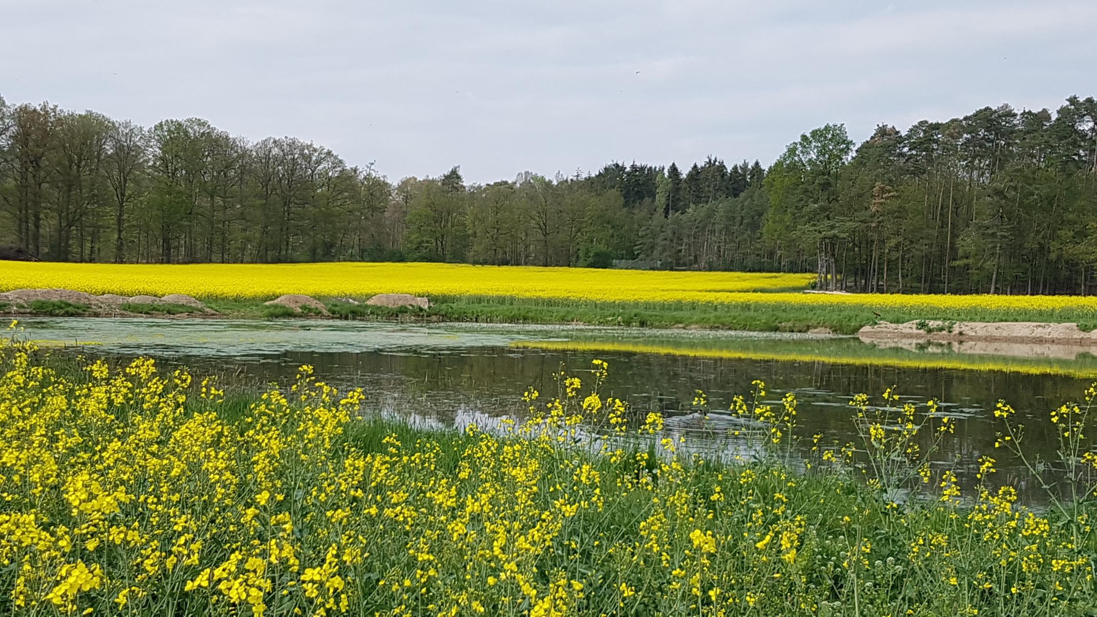 Landschaft
