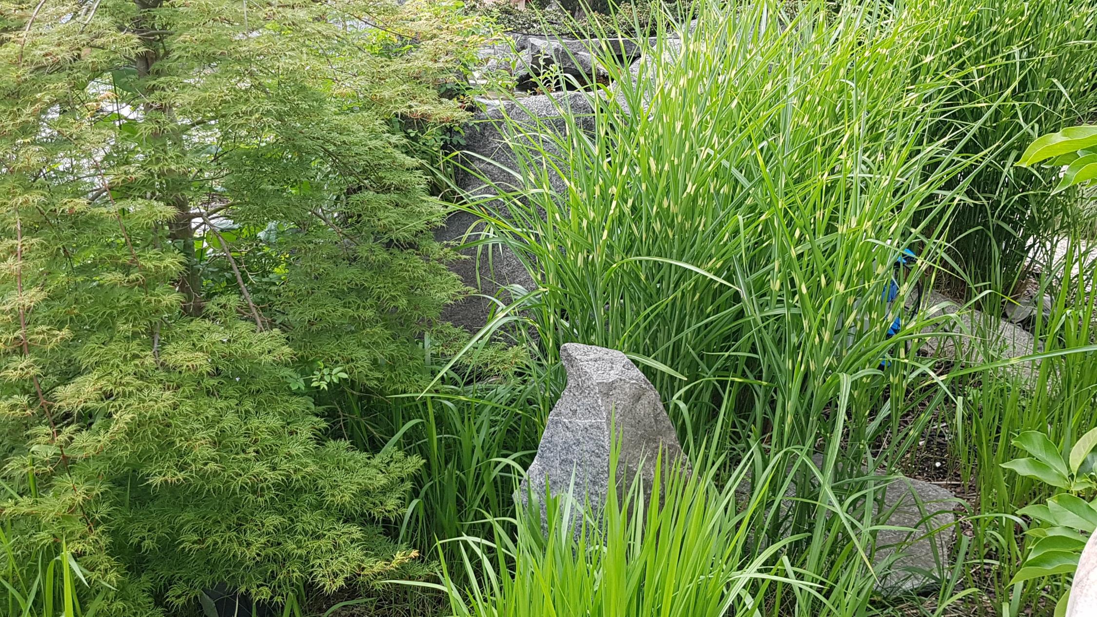 Landschaft