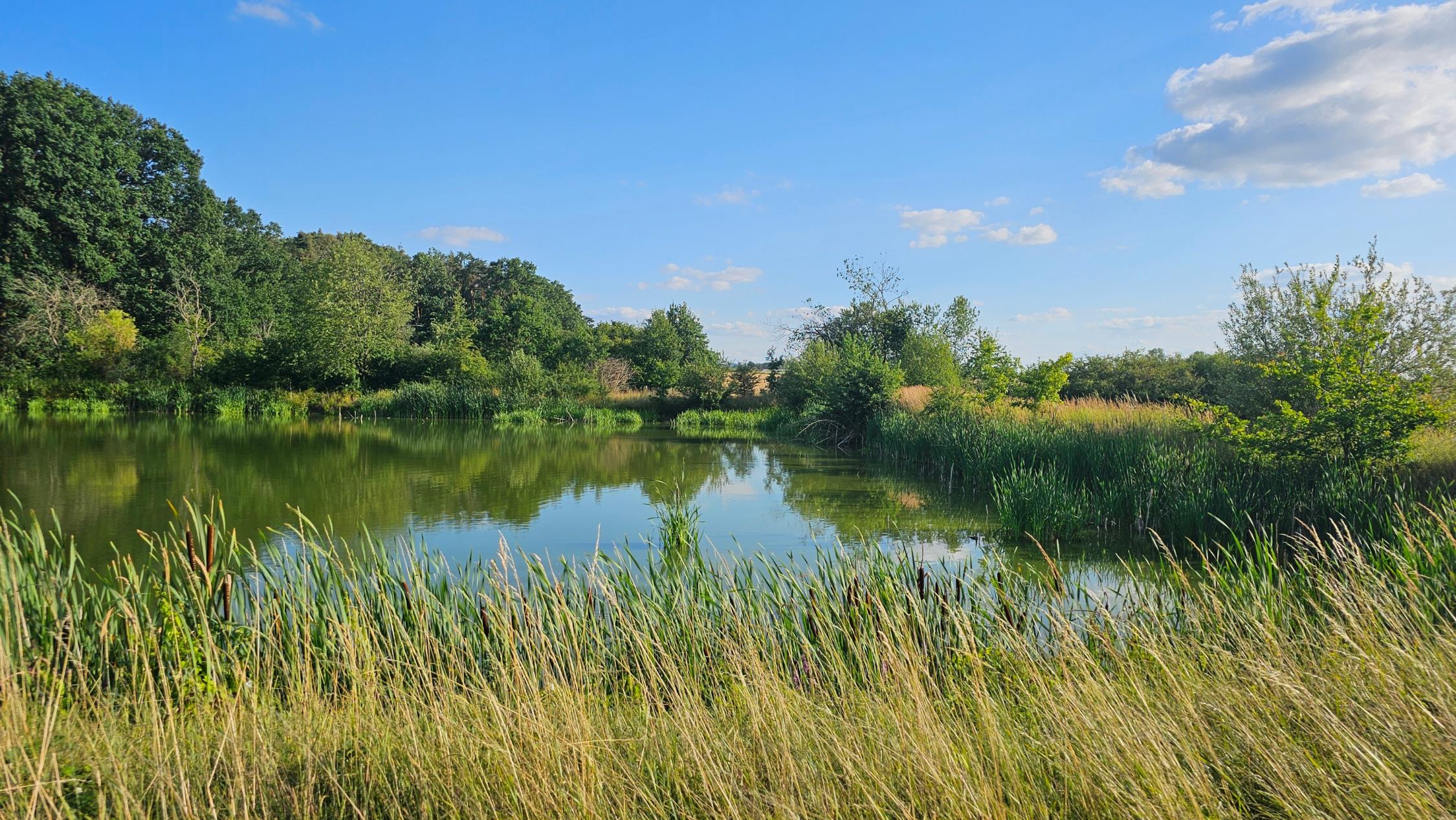 Landschaft