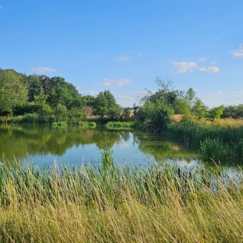 Landschaft