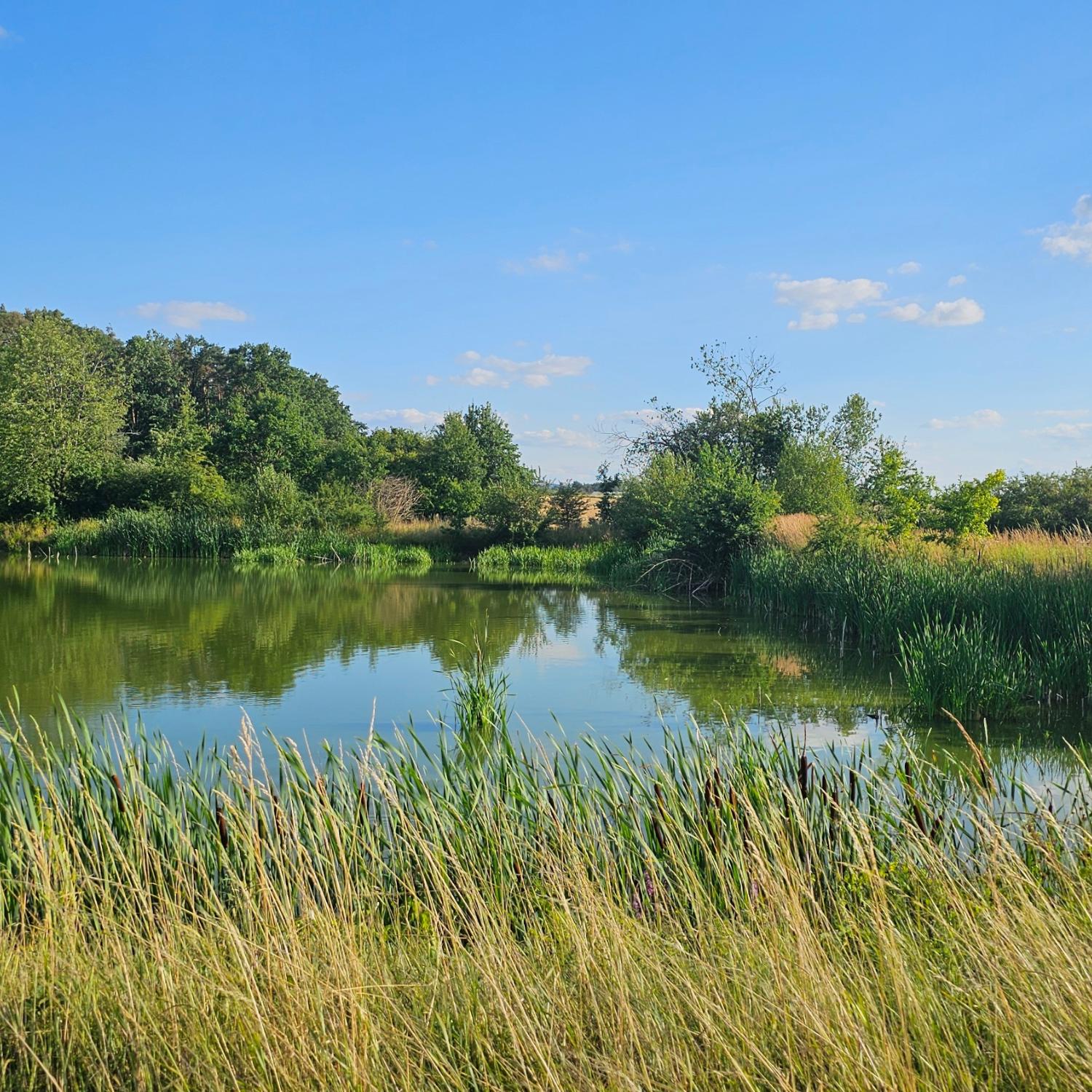 Landschaft