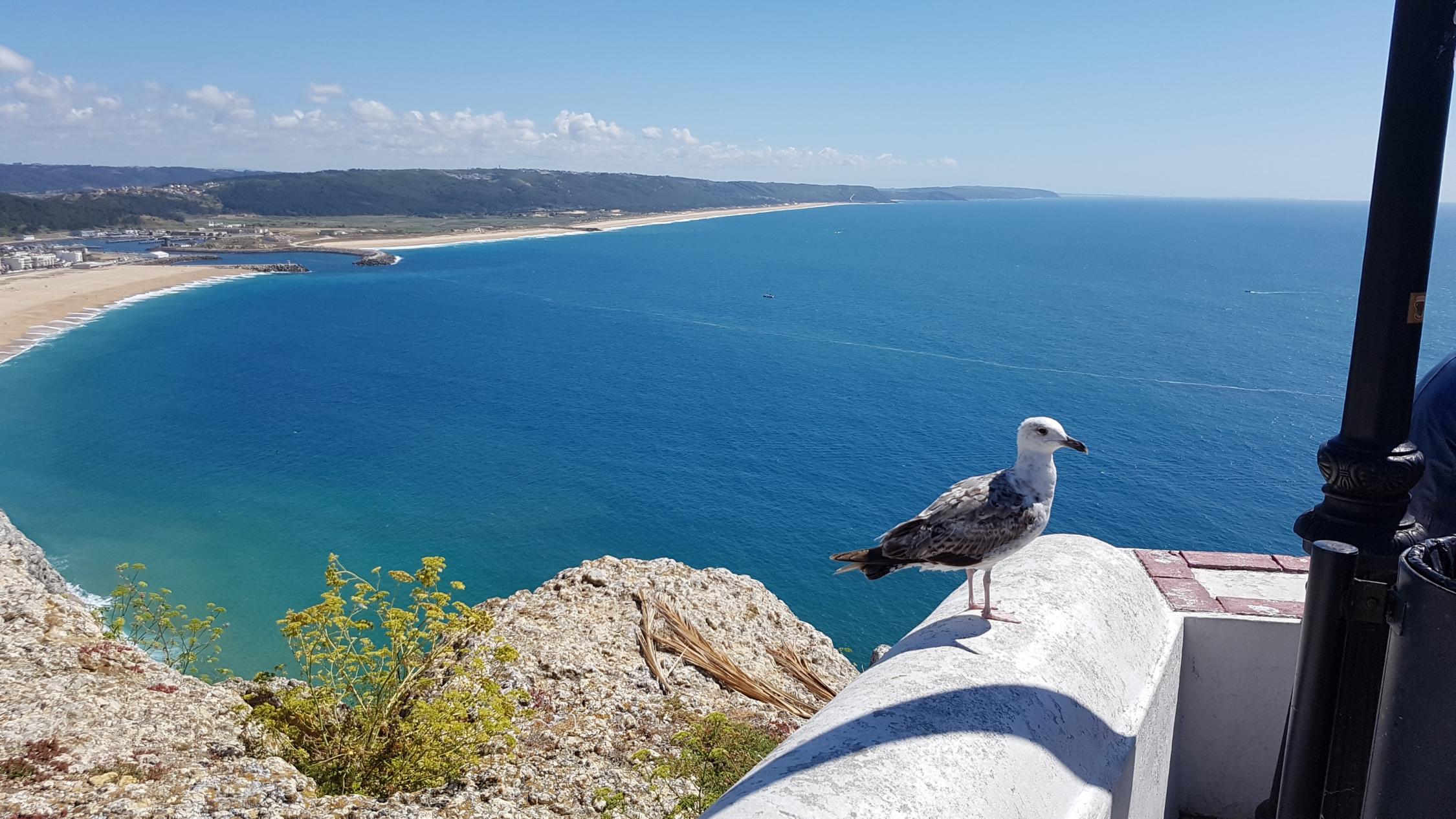 Portugal