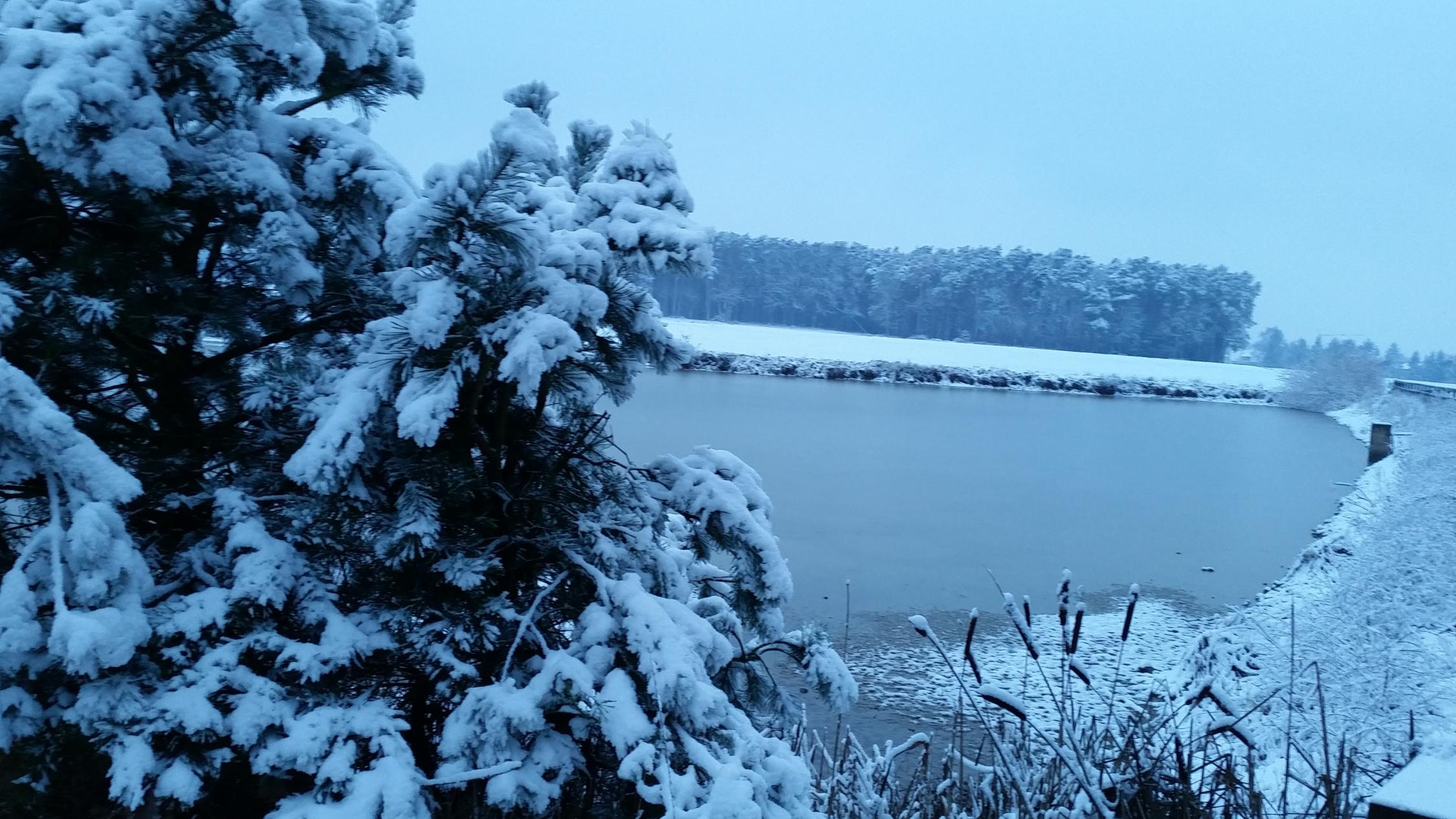 Schneelandschaft