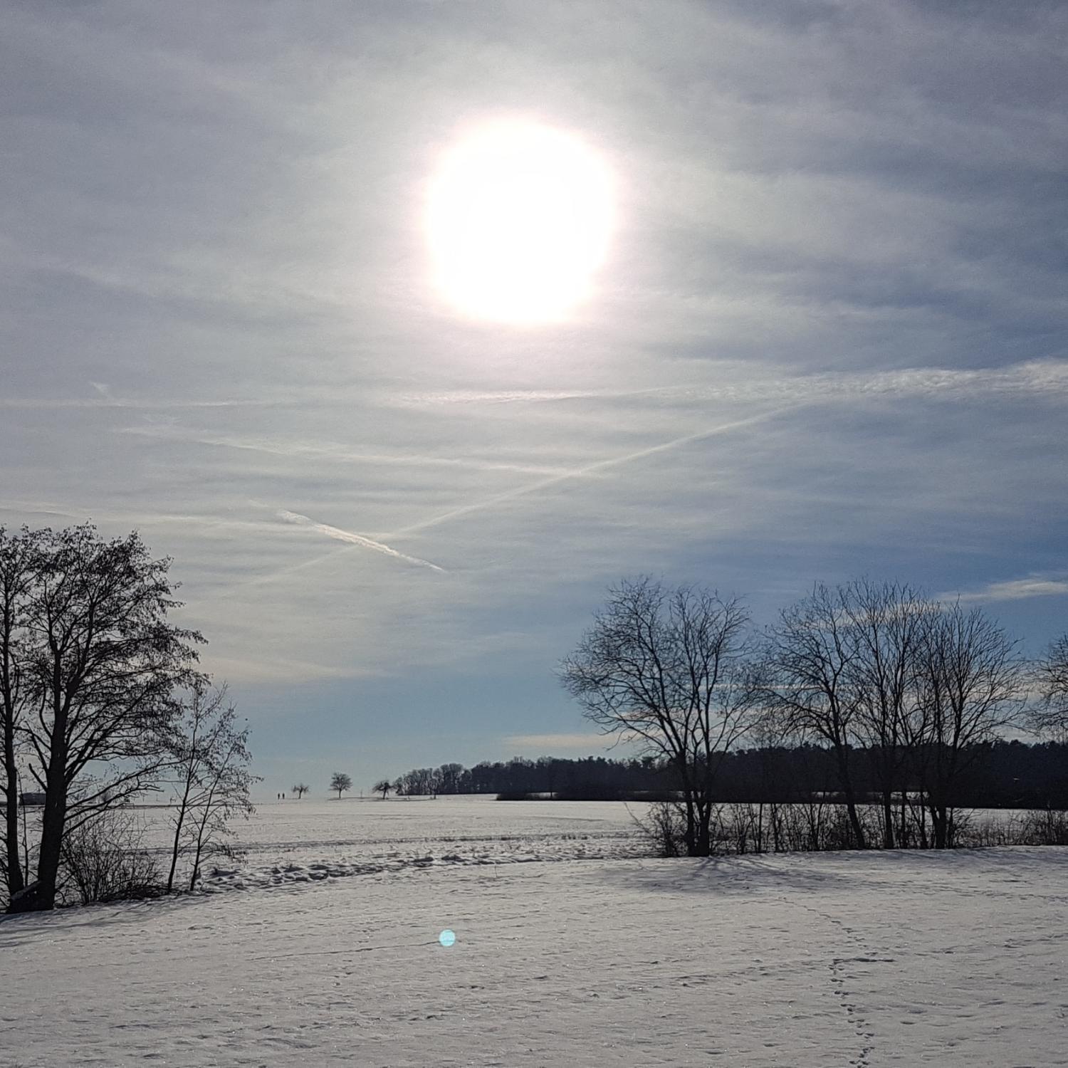 Schneelandschaft