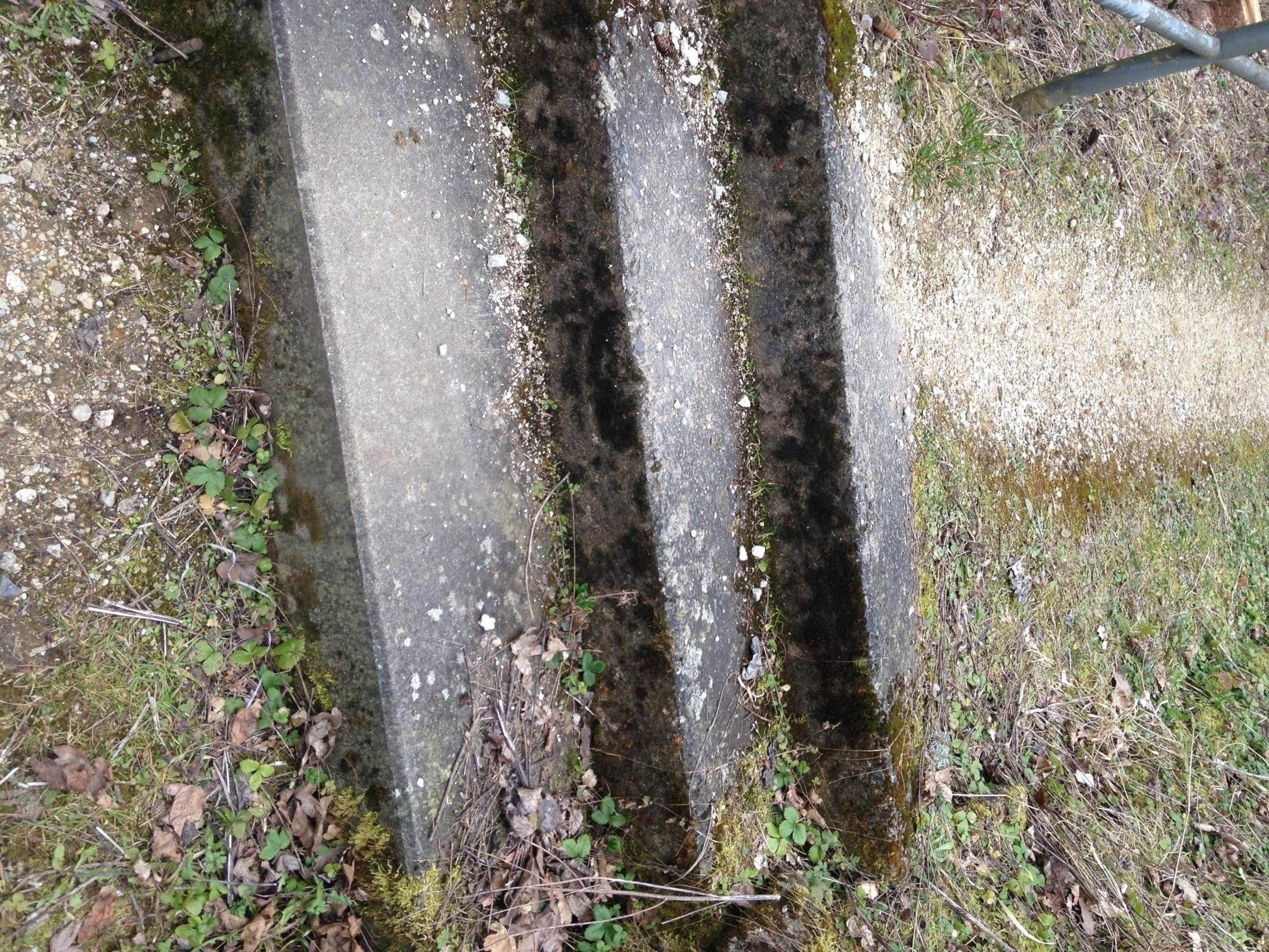 Weg