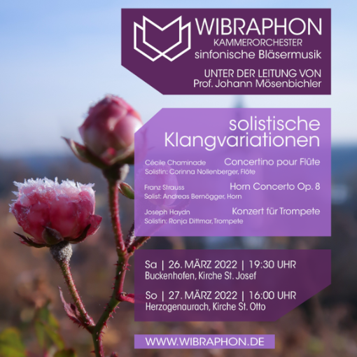 WiBraPhon Kammerorchester
