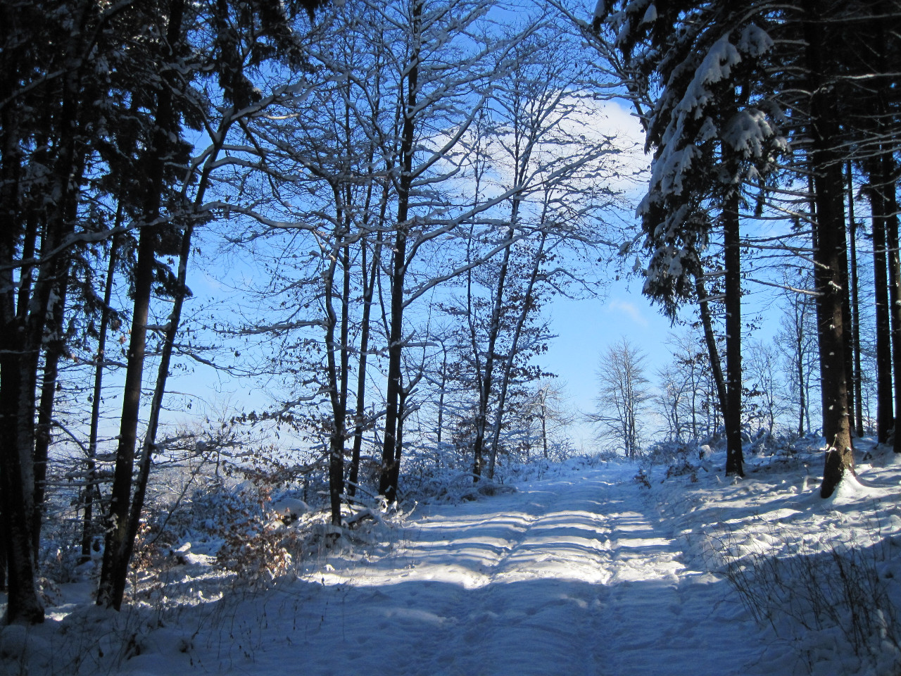 Winterwanderung